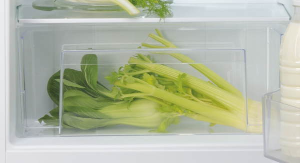 Bauknecht KSI 9 GF 2 E Einbaukühlschrank